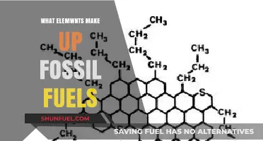 Unveiling the Chemical Composition of Fossil Fuels: Carbon, Hydrogen, and Beyond