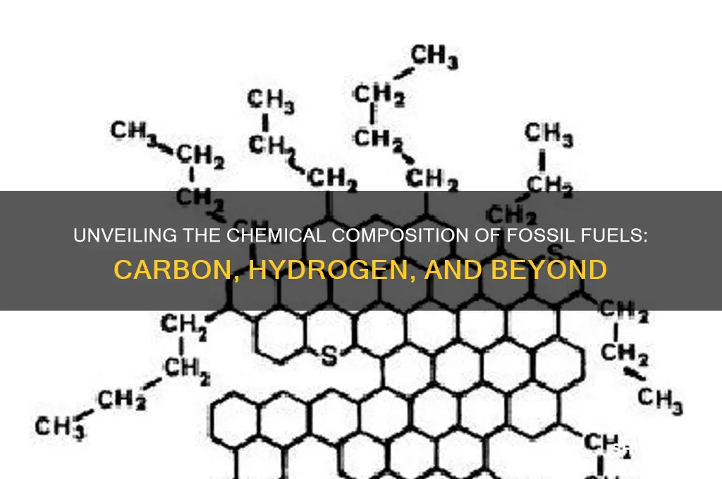 what elemwnts make up fossil fuels