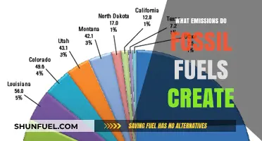 Fossil Fuels' Emissions: Unveiling the Harmful Pollutants They Release