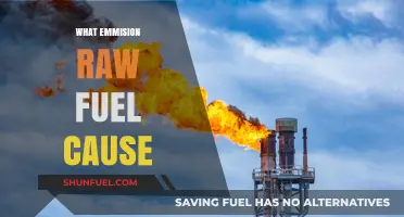 Raw Fuel Emissions: Environmental Impact and Harmful Pollutants Explained