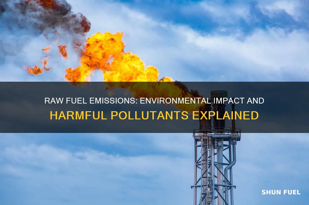 what emmision raw fuel cause