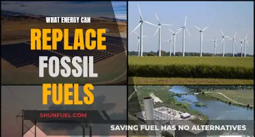 The Future of Energy: Sustainable Alternatives to Fossil Fuels