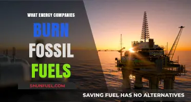 Fossil Fuel Reliance: Which Energy Companies Still Burn Non-Renewables?