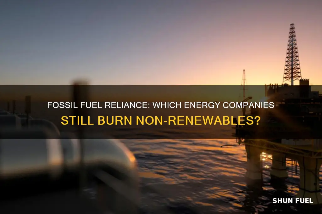 what energy companies burn fossil fuels