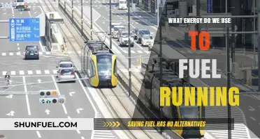 Fuel for the Run: Understanding the Energy Behind Every Stride