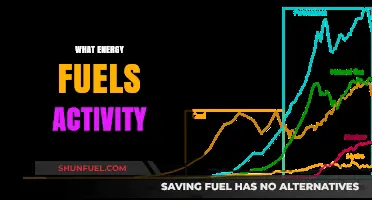 Unleashing Vitality: Exploring the Energy Sources Powering Human Activity