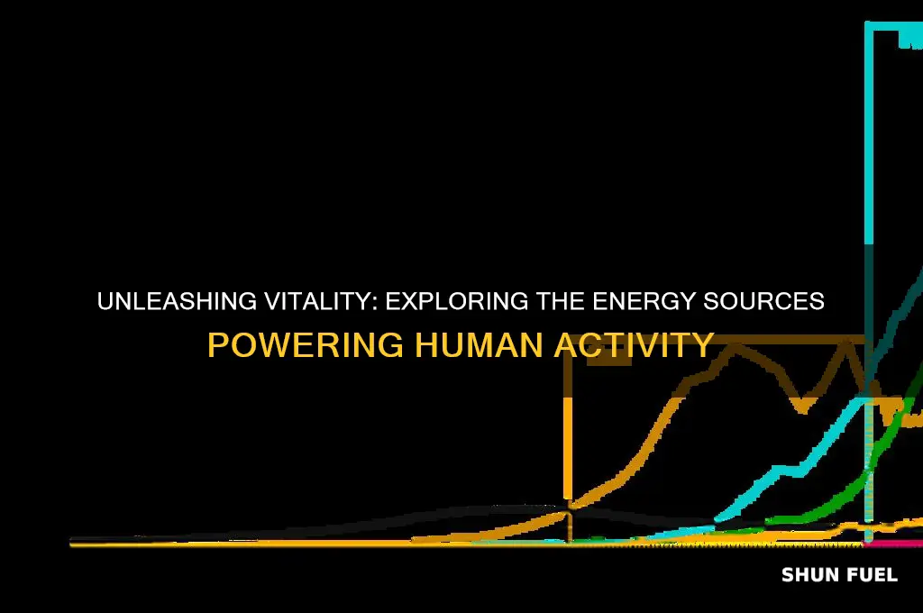 what energy fuels activity