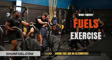 Unleashing Power: Understanding the Energy Sources Driving Your Workouts