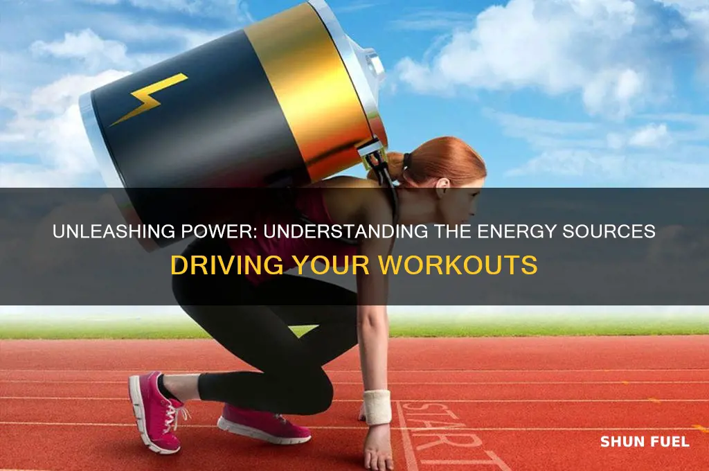 what energy fuels exercise
