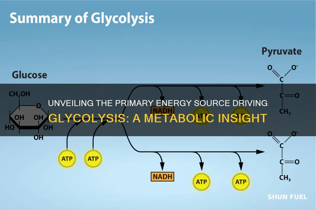 what energy fuels glycolysis