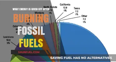 Burning Fossil Fuels: Unveiling the Energy and Emissions Released