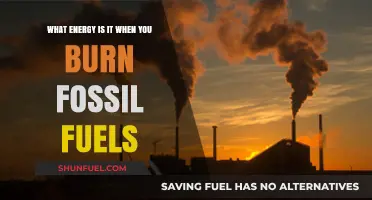 Burning Fossil Fuels: Unlocking Chemical Energy and Environmental Impacts