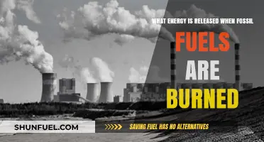 Unleashing Power: Understanding Energy Released by Burning Fossil Fuels