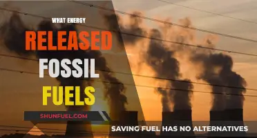 Unleashing Power: Understanding the Energy Released by Fossil Fuels