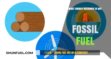 Beyond Fossil Fuels: Exploring Sustainable Energy Alternatives for a Greener Future