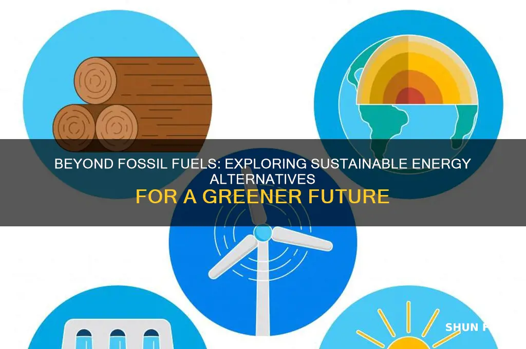 what energy resource is not a fossil fuel