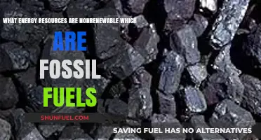 Nonrenewable Energy: Understanding Fossil Fuels and Their Finite Nature
