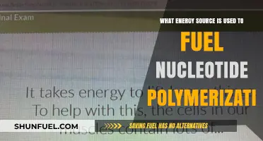 Powering Nucleotide Polymerization: The Essential Energy Source Revealed