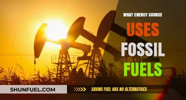 Fossil Fuels Power: Exploring Energy Sources Derived from Ancient Resources
