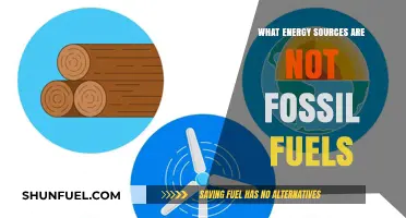 Exploring Renewable Energy Alternatives Beyond Fossil Fuels for a Greener Future