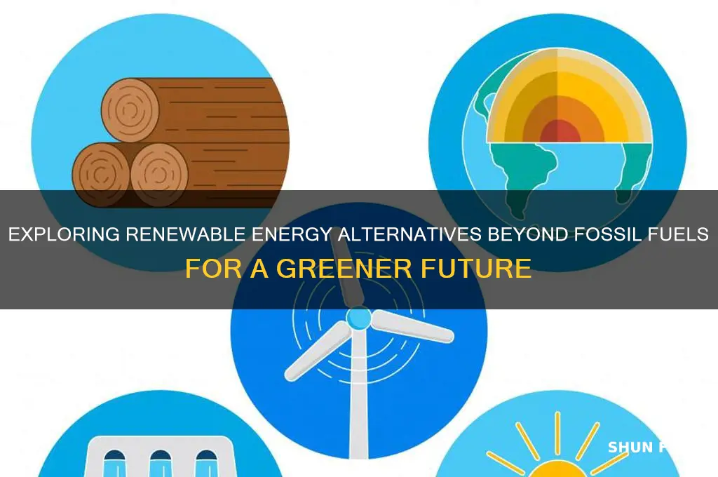 what energy sources are not fossil fuels