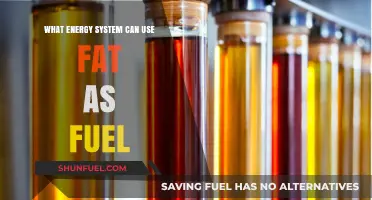 Unlocking Fat as Fuel: Exploring Efficient Energy Systems for Optimal Performance