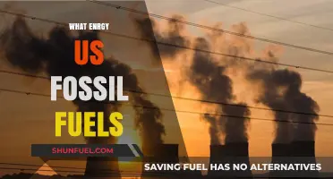 Understanding Fossil Fuels: The Energy Source Powering Our World