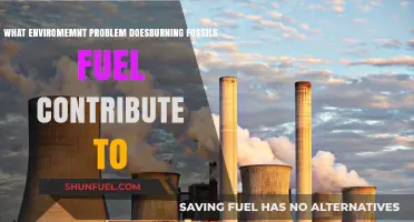 Burning Fossil Fuels: Accelerating Climate Change and Environmental Degradation