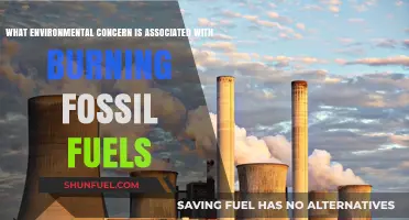 Burning Fossil Fuels: Unveiling the Climate Crisis and Environmental Impact