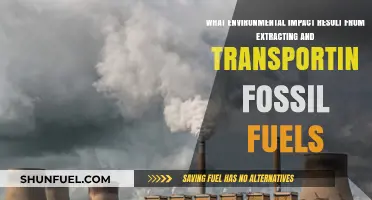 Fossil Fuel Extraction and Transport: Uncovering Their Environmental Toll