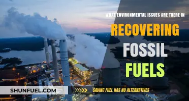 Environmental Impacts of Fossil Fuel Extraction: Challenges and Concerns