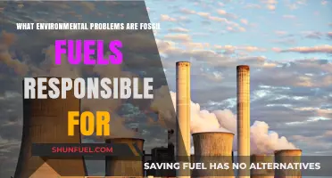 Fossil Fuels' Devastating Impact: Uncovering Their Role in Environmental Crises
