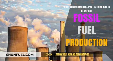 Environmental Safeguards for Fossil Fuel Production: Policies and Practices