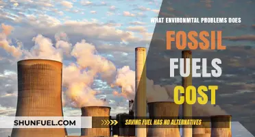 Fossil Fuels' Environmental Toll: Pollution, Climate Change, and Ecosystem Destruction