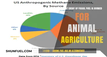 Animal Agriculture's Hidden Cost: Fossil Fuel Emissions from Farming Practices