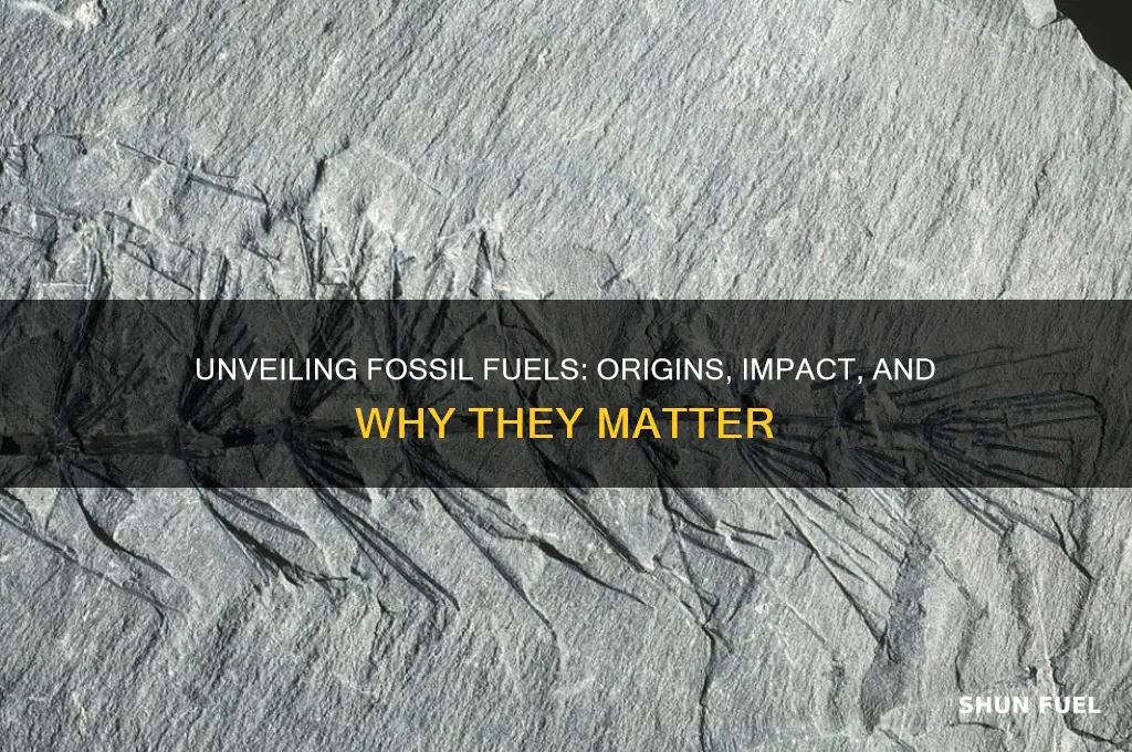what even is a fossil fuel