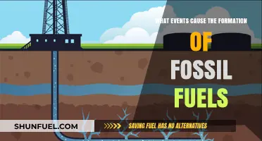 Unveiling the Ancient Processes Behind Fossil Fuel Formation