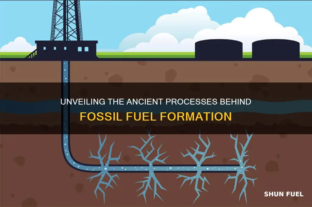 what events cause the formation of fossil fuels