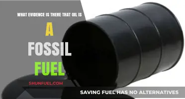 Fossil Fuel Evidence: Proving Oil's Ancient Organic Origins