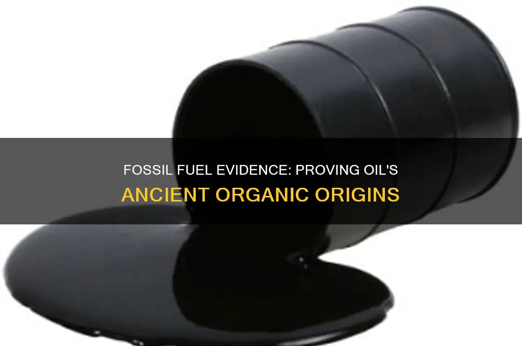what evidence is there that oil is a fossil fuel
