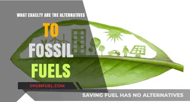 Exploring Sustainable Energy: Alternatives to Fossil Fuels for a Greener Future