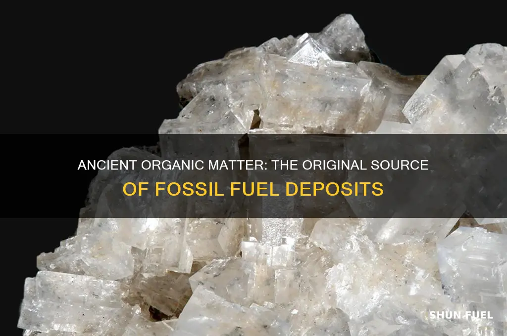 what excisted originally that became a deposit for fossil fuels