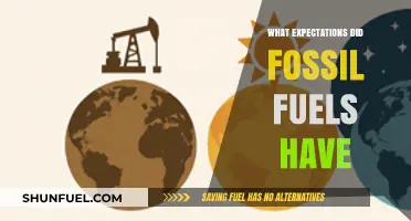 Fossil Fuels: Historical Expectations and Their Impact on Energy Evolution