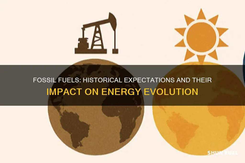 what expectations did fossil fuels have