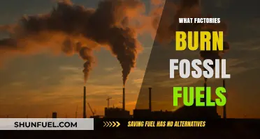 Factories and Fossil Fuels: Industries Relying on Coal, Oil, and Gas