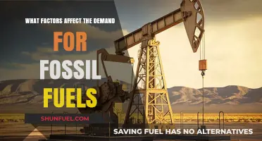 Key Factors Influencing the Demand for Fossil Fuels Today