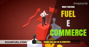 Driving E-Commerce Growth: Key Factors Fueling Online Retail Success