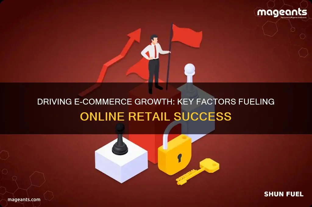 what factors fuel e commerce
