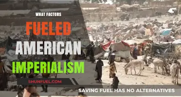 Economic Ambitions, Military Might, and Cultural Beliefs: Drivers of American Imperialism
