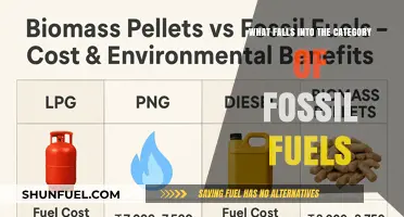 Understanding Fossil Fuels: Coal, Oil, and Natural Gas Explained